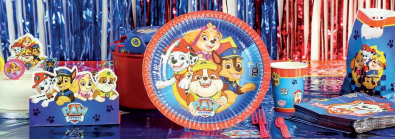 Paw Patrol Girl Birthday Party Supplies Pack serve 16: Paw Patrol