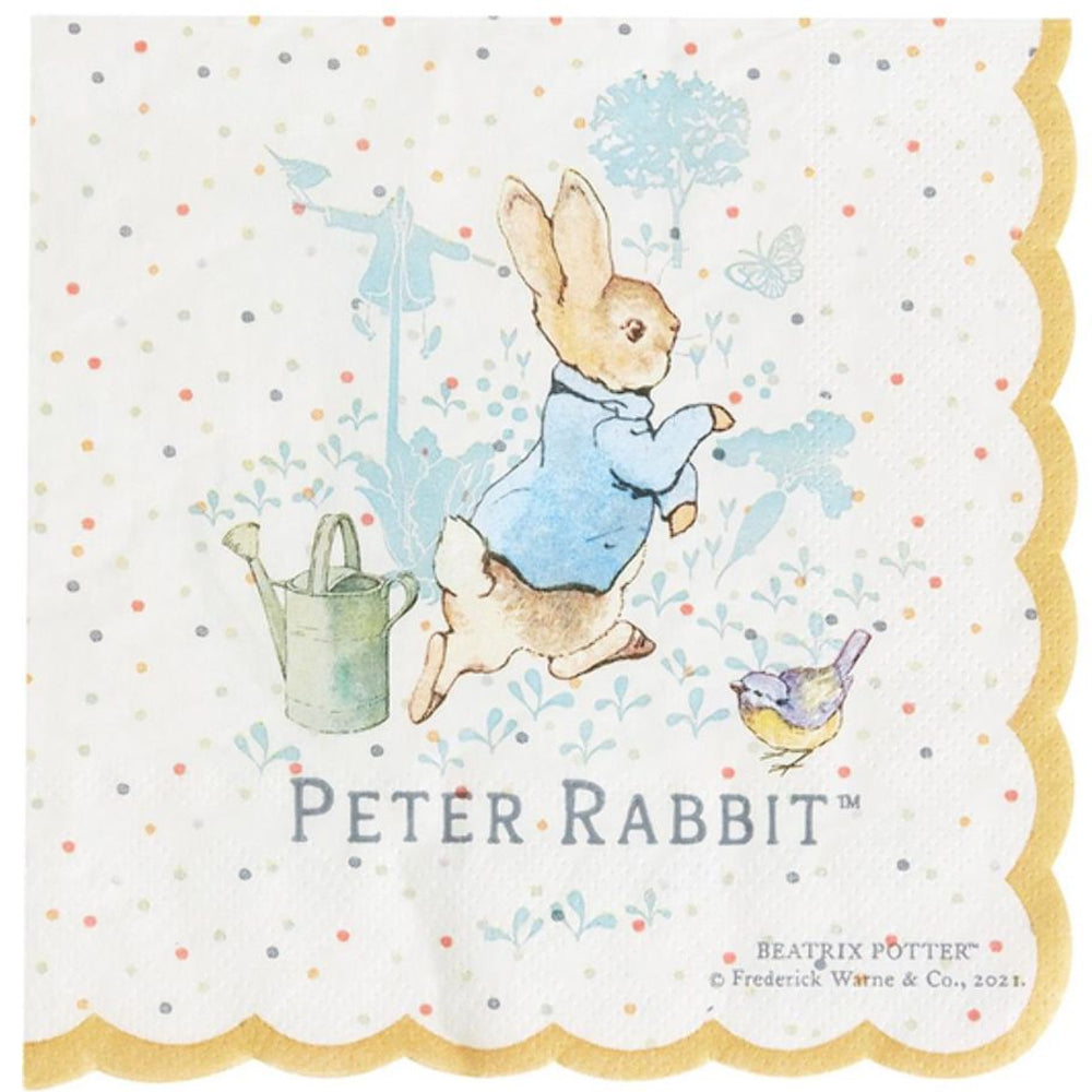 Peter Rabbit Party | Christening Birthday Party Plates Napkins Decorations