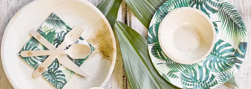 Exclusive Guide to Eco-Friendly Decorations & Tableware at Party Packs