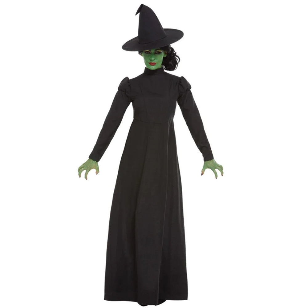 Wicked Witch Costume