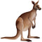 Kangaroo Card Cutout Decoration - 80cm