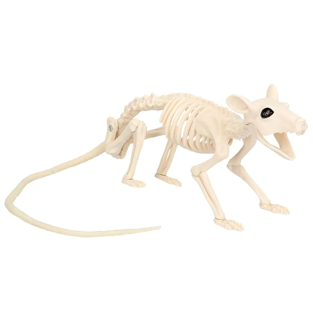 Rat Skeleton Prop - 72cm