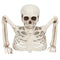 Skeleton Groundbreaker Halloween Prop - 20cm