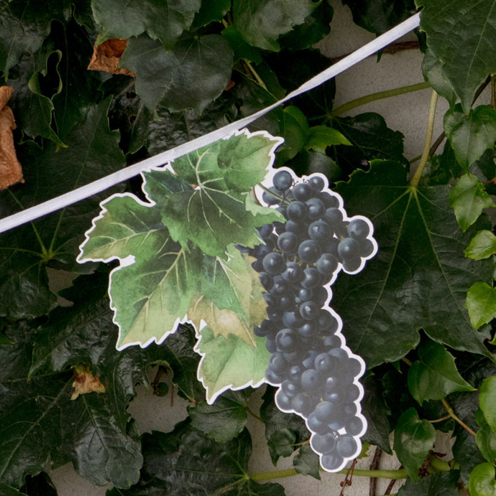 Bunch of Grapes Wine Bunting - 6m