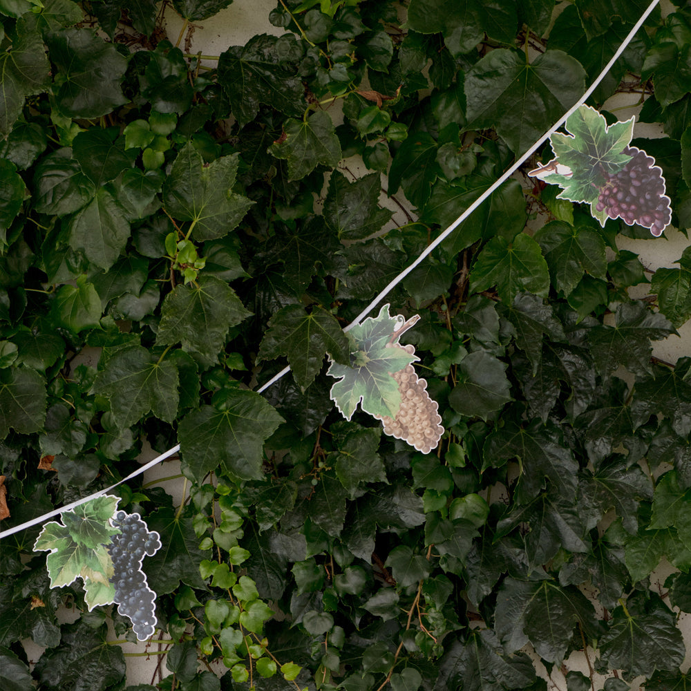 Bunch of Grapes Wine Bunting - 6m