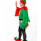 Elf/Santa Helper Costume