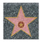 Hollywood Walk of Fame Star Peelable Sticker - 38cm