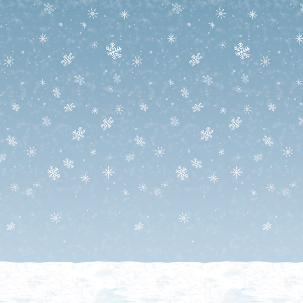 Winter Skyscape Backdrop Decoration - 9.14m