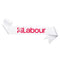 Labour Party Sash