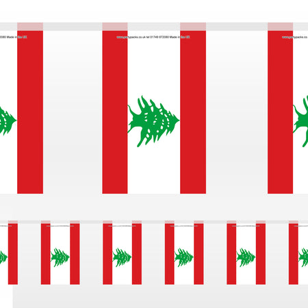 Lebanon Paper Flag Bunting - 2.4m