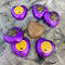 Halloween Heart Chocolates Kit - Purple- Pack 24