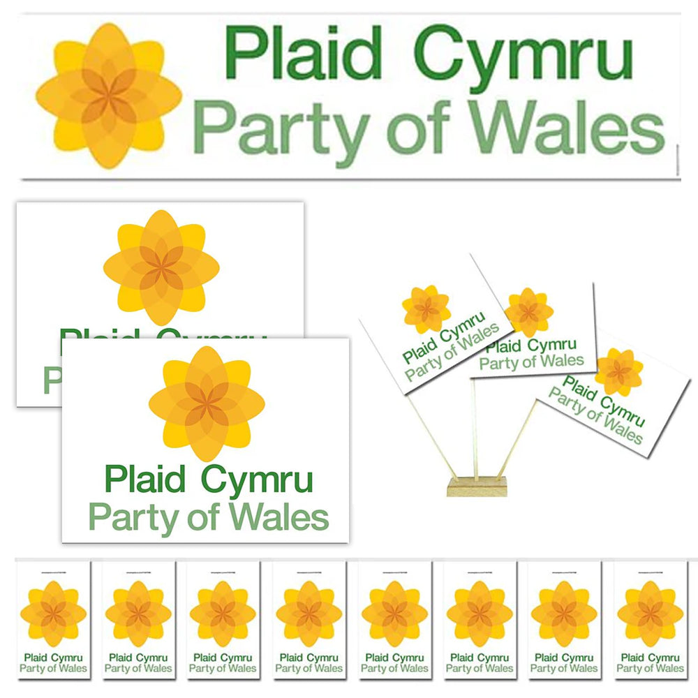 Plaid Cymru Party Decoration Pack