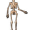 Skeleton Jointed Cutout Wall Decoration - 1.4m