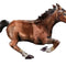 Galloping Horse Foil Balloon 40