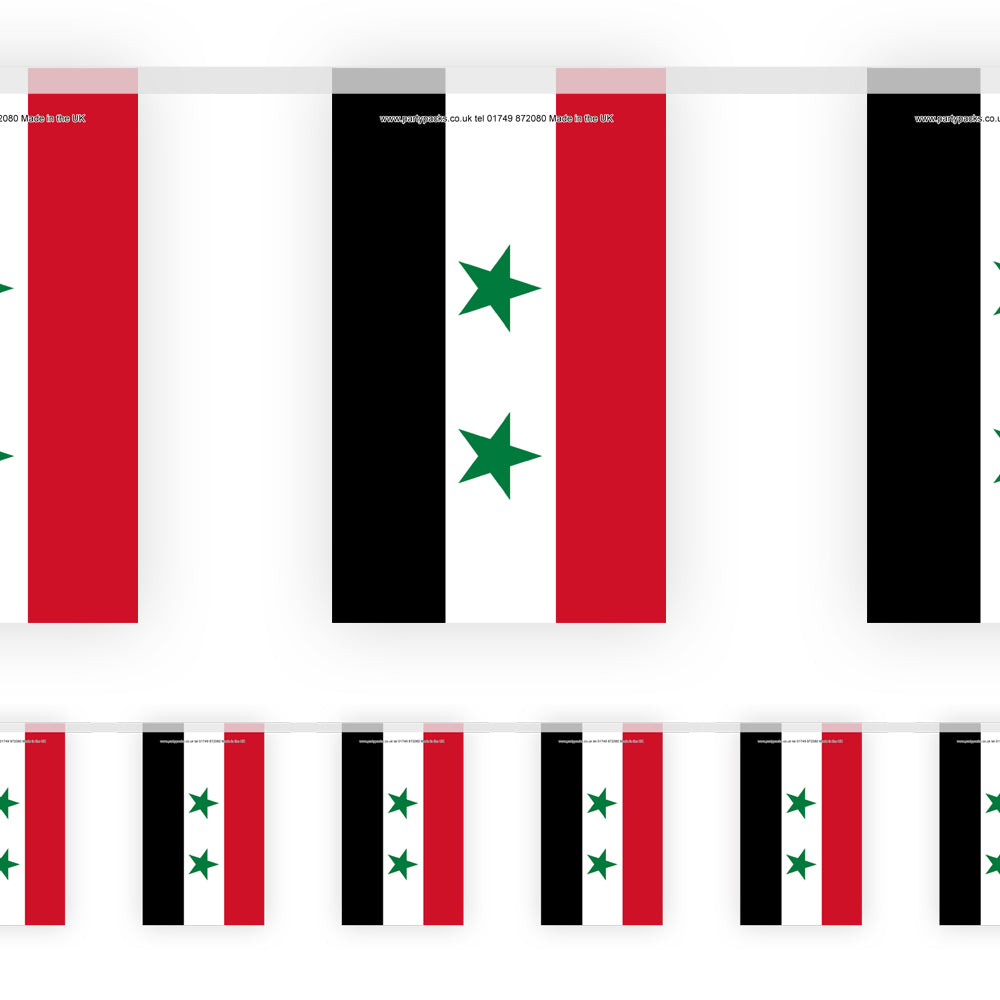 Syria Paper Flag Bunting - 2.4m