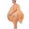 Inflatable Christmas Turkey Costume