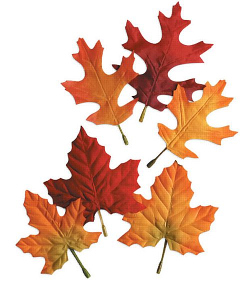 Fabric Autumn Leaves - 14cm - Pack of 12 – Party Packs