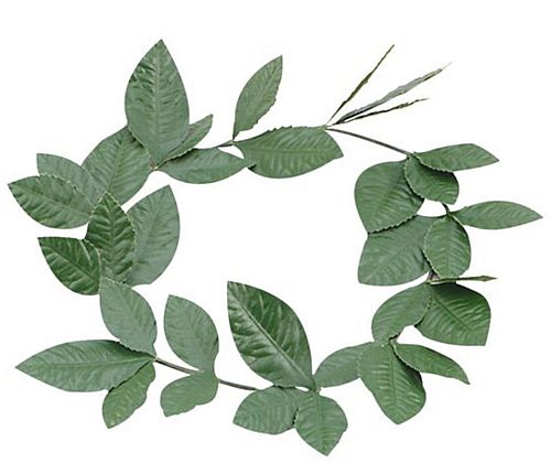 Green Laurel Leaf Headband – Party Packs